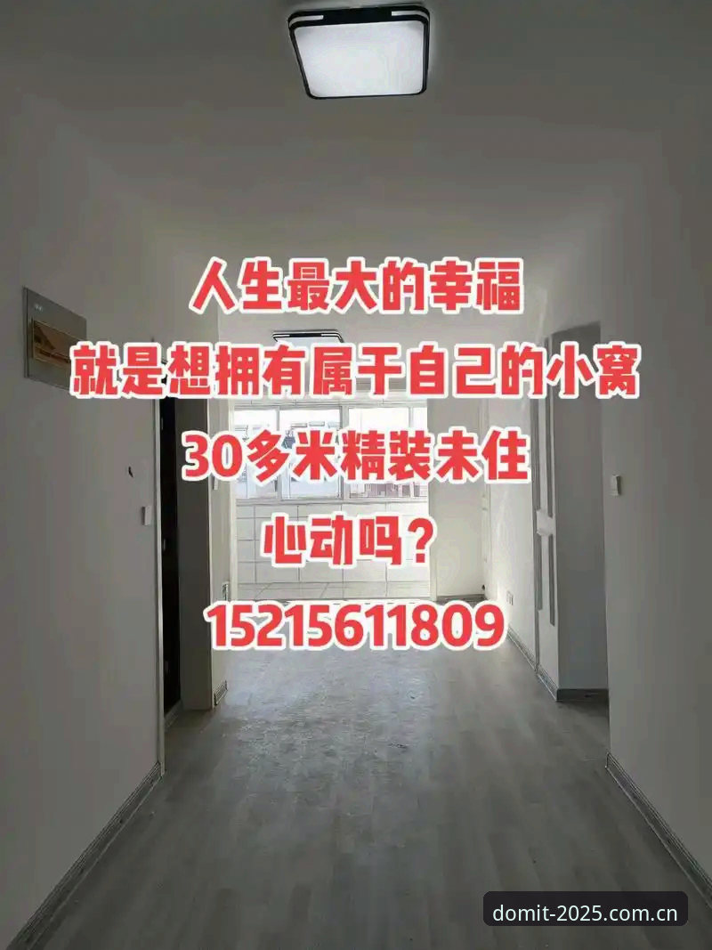 揭秘多米体育PC版安全性真相：老用户实测分享与深度分析