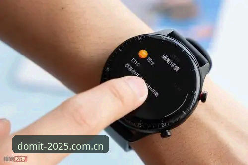 多米体育界面2025新版 vs 旧版：功能、操作与体验全面对比